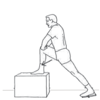 box exercise for glutes