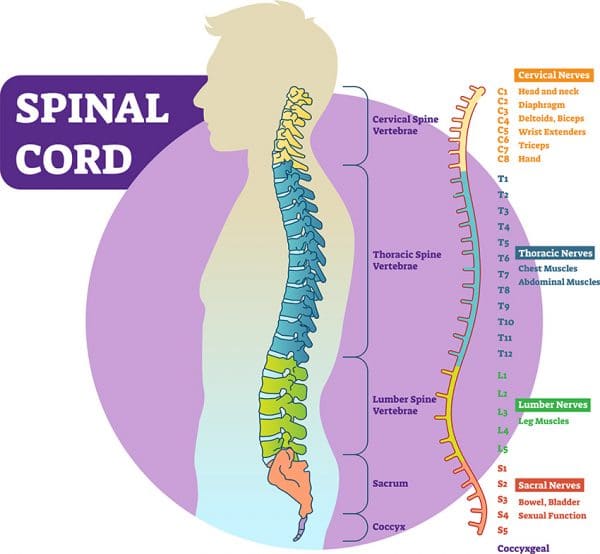 Spinal Cord Injury Rehabilitation & Recovery Centers in Virginia