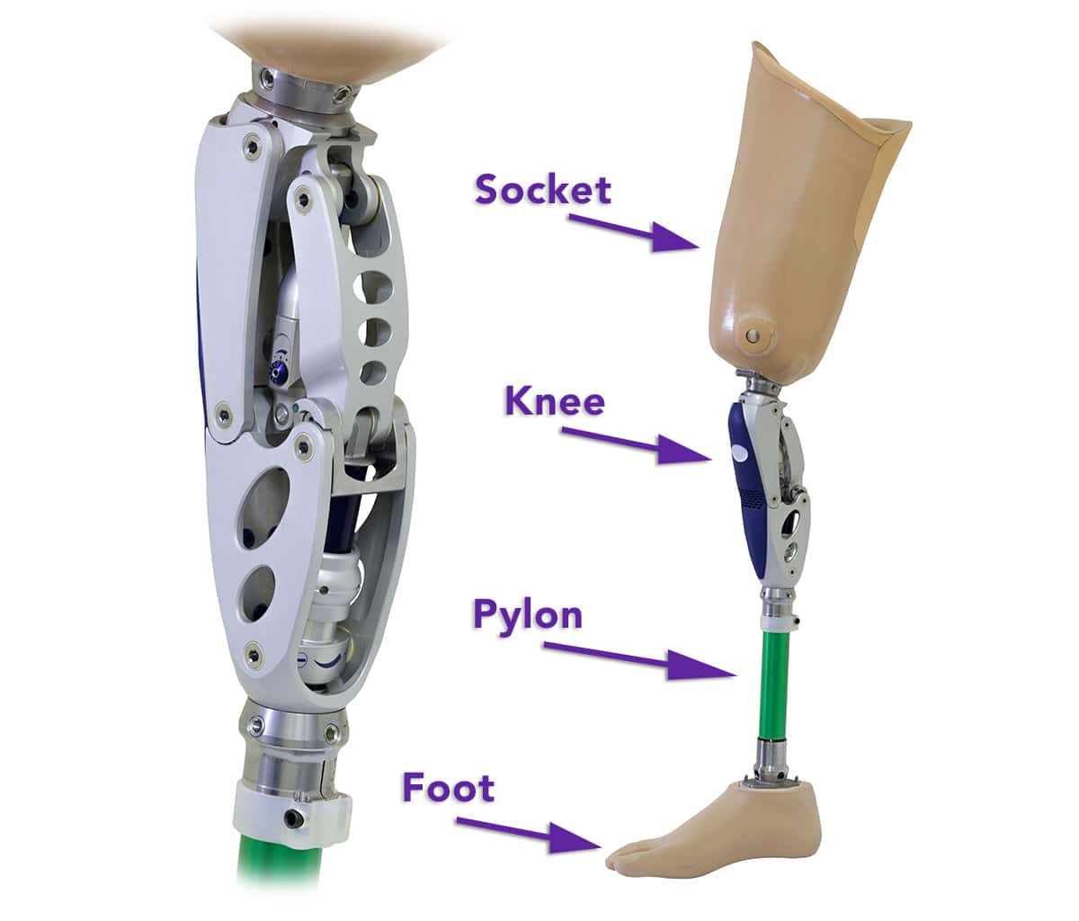 Lower Limb Prosthesis 101 Knowledge is Power Sheltering Arms Institute